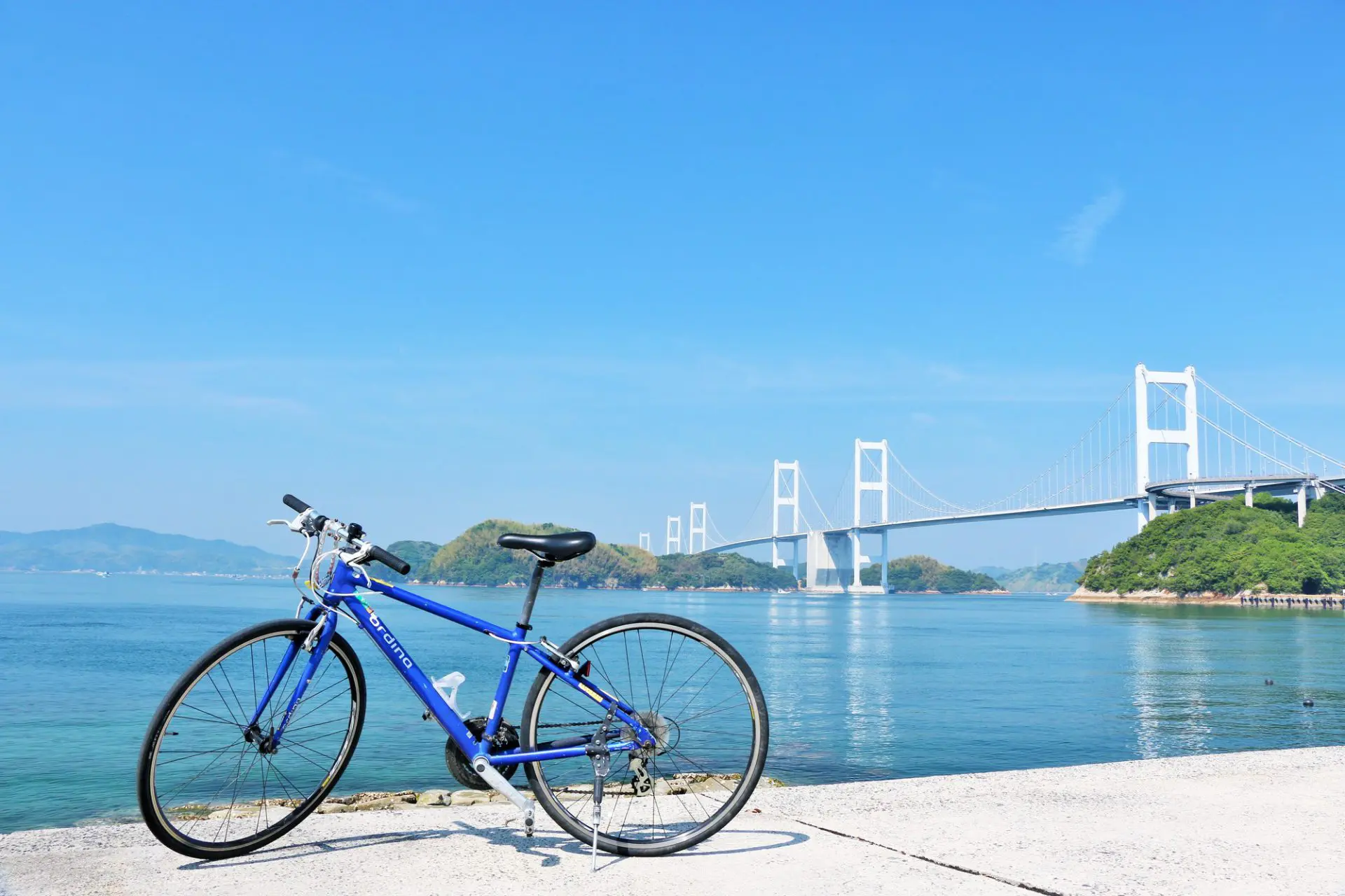 自転車通学 保険入らないといけない 学生総合保証制度