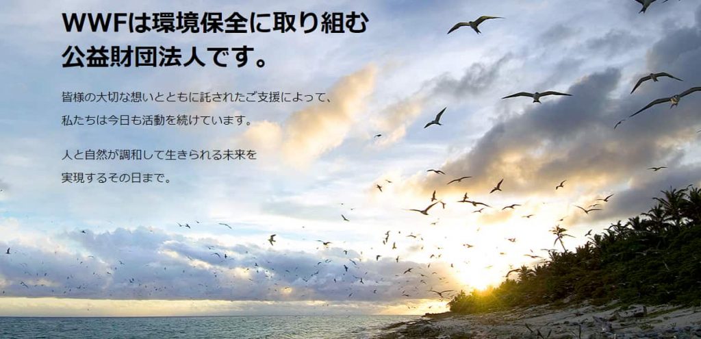 【クラウド電子署名】ドキュサインとは？仕組みや価格、評判 ...