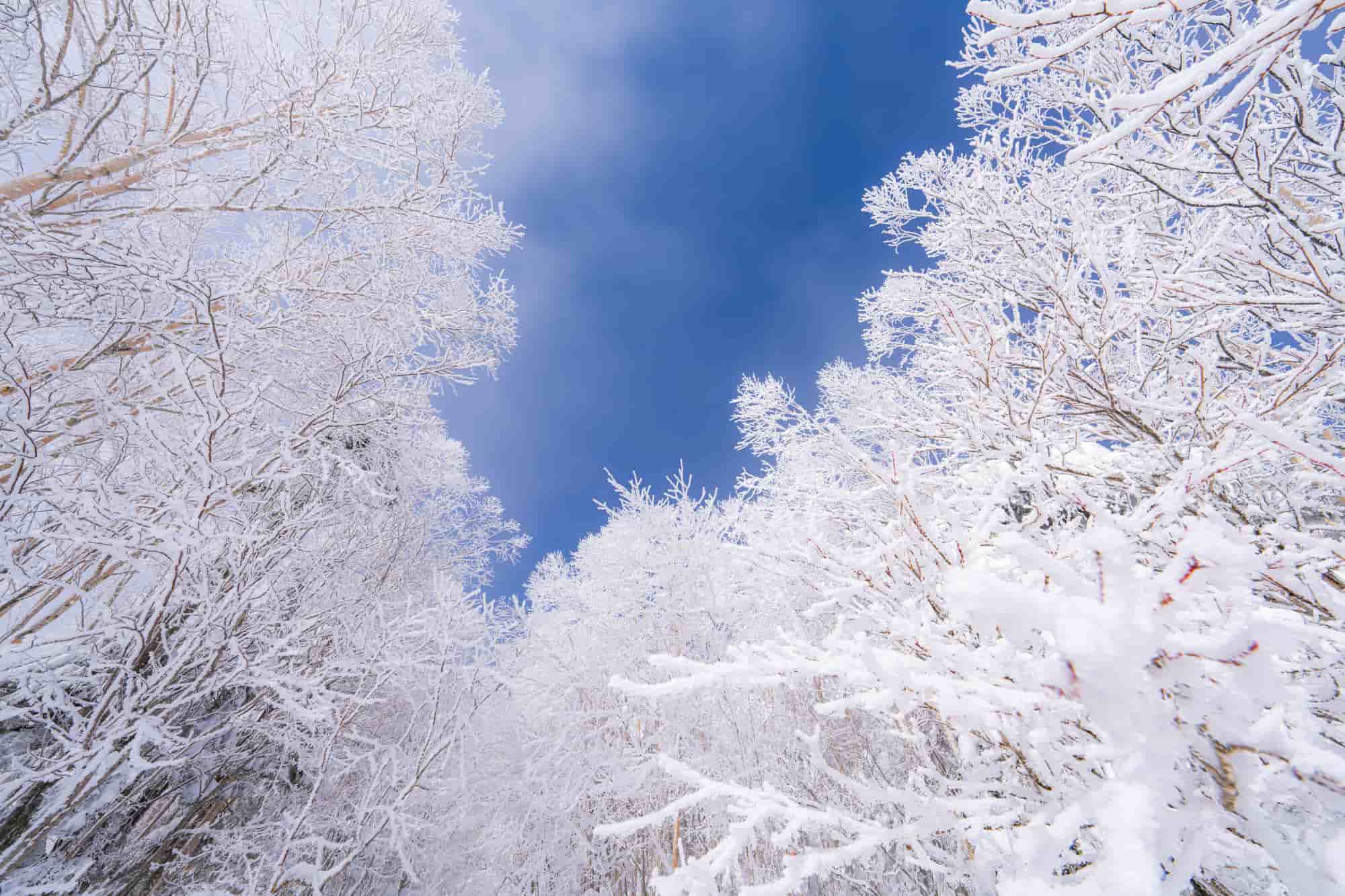 冬　プリンターの調子が悪くなる　理由